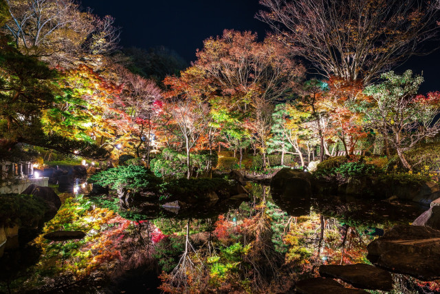 大磯城山公園「大磯城山公園紅葉ライトアップ」